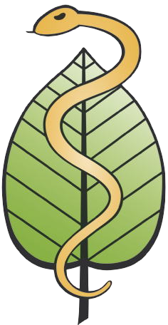 Freie Heilpraktiker e.V.